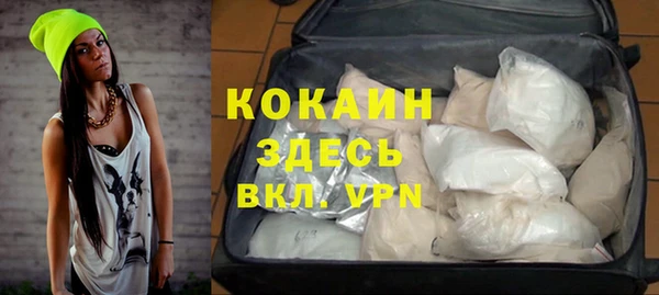 дмт Елизово