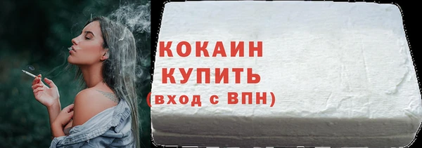 дмт Елизово