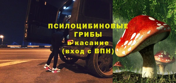 дмт Елизово