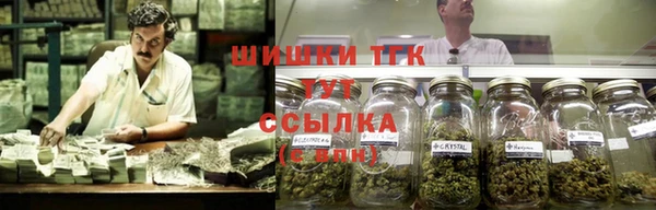 дмт Елизово