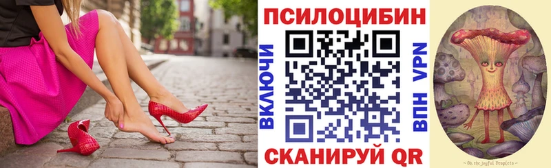 Галлюциногенные грибы прущие грибы  Купить  Бирюч 